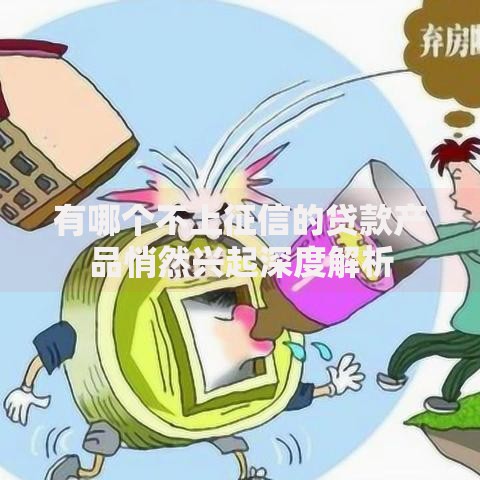 有哪个不上征信的贷款产品悄然兴起深度解析