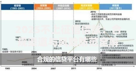 2025不上征信借款：合规渠道与风险防范全解析