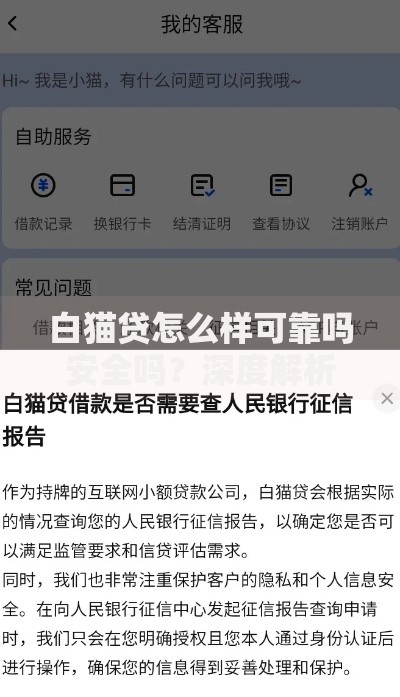 白猫贷怎么样可靠吗安全吗？深度解析平台资质与用户真实评价