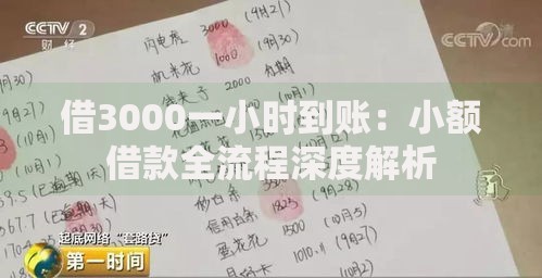 借3000一小时到账:小额借款全流程深度解析 借3000一小时到账:小额借款全流程深度解析