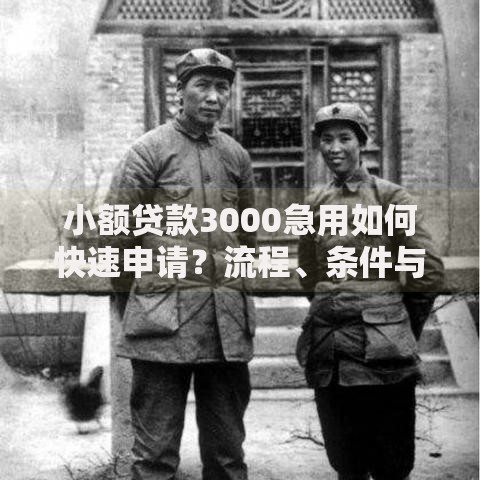 小额贷款3000急用如何快速申请？流程、条件与风险全解析