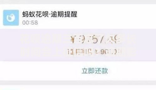 花呗逾期三百忘了欠多长时间会上征信吗？逾期影响解析
