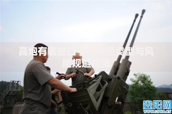 高炮有哪些口子？常见类型与风险规避指南