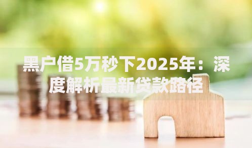 黑户借5万秒下2025年：深度解析最新贷款路径