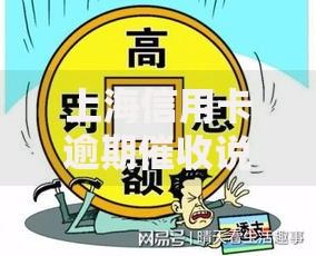上海信用卡逾期催收说要去法院是真的吗？法律解析与应对策略