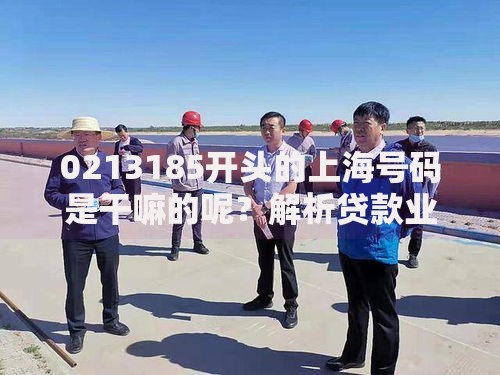 0213185开头的上海号码是干嘛的呢？解析贷款业务关联