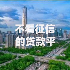 不看征信的贷款平台一定能下款掌上花？真实评测与避坑指南