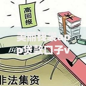 美丽钱袋app贷款口子v1：用户真实评测与申请流程解析