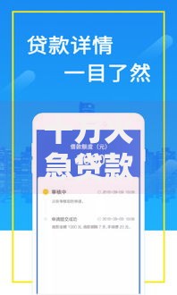 十万火急贷款平台口子如何选择?资质审核严格吗? 十万火急贷款平台口子如何选择?资质审核严格吗?