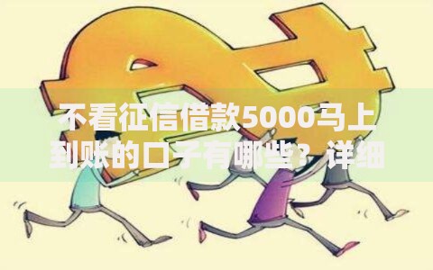 不看征信借款5000马上到账的口子有哪些？详细解析与推荐