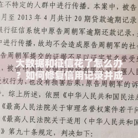 大数据和征信花了怎么办？如何修复信用记录并成功申请贷款