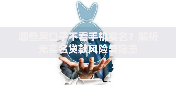 哪些黑口子不看手机实名？解析无实名贷款风险与隐患