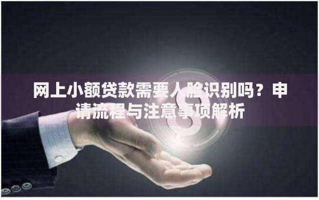 网上小额贷款需要人脸识别吗？申请流程与注意事项解析