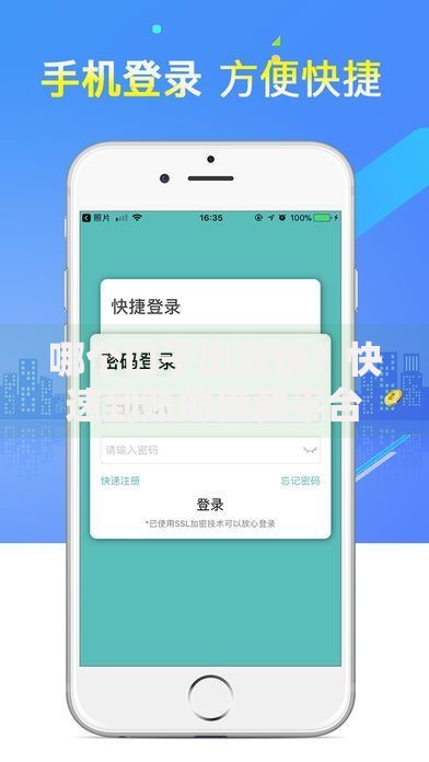 哪个口子出款快？快速到账的借款平台深度解析
