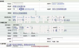 信用飞下款吗？全面解析申请条件与放款流程