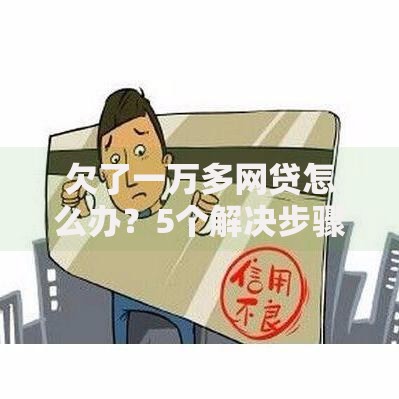 欠了一万多网贷怎么办？5个解决步骤+真实案例解析