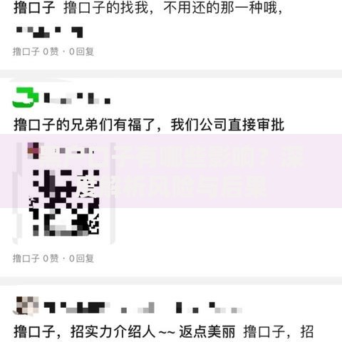 黑户口子有哪些影响？深度解析风险与后果