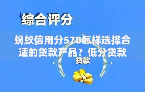 蚂蚁信用分570怎样选择合适的贷款产品？低分贷款指南