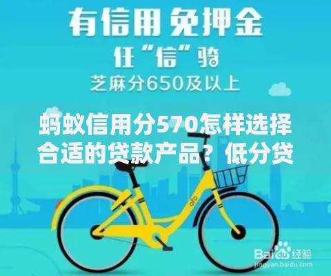 蚂蚁信用分570怎样选择合适的贷款产品？低分贷款指南