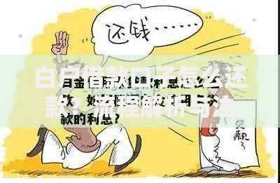 白户借款口子怎么还款？流程解析与注意事项