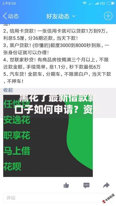 黑花了最新借款新口子如何申请？资质要求和风险解析