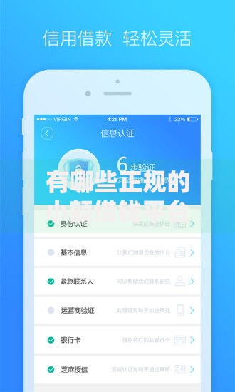 有哪些正规的小额借钱平台？安全借款渠道深度解析