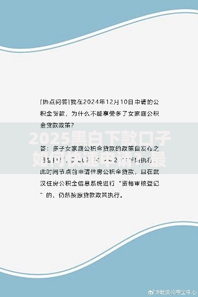 2025黑白下款口子如何快速申请？最新政策解析