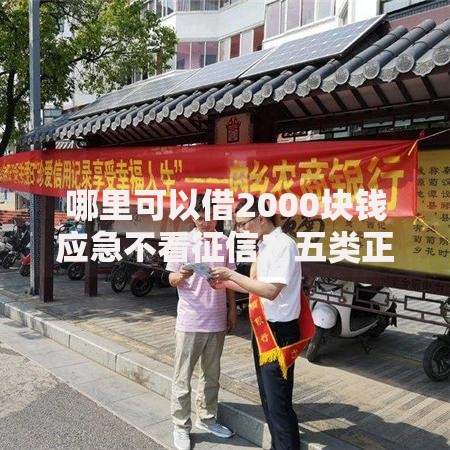哪里可以借2000块钱应急不看征信？五类正规渠道详解