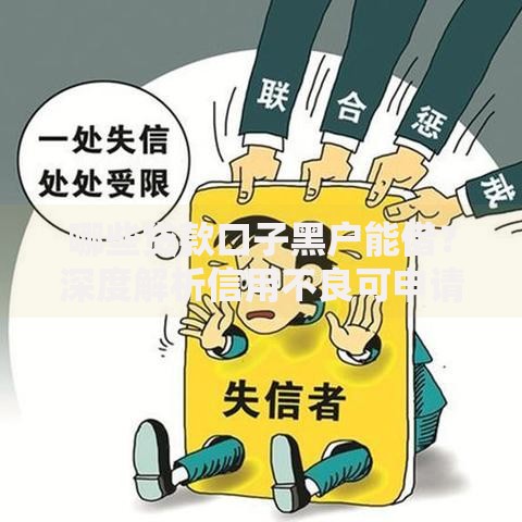 哪些贷款口子黑户能借？深度解析信用不良可申请渠道