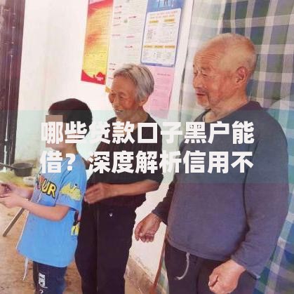 哪些贷款口子黑户能借？深度解析信用不良可申请渠道