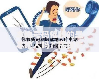 本地号码催收的是本地人吗？揭秘贷款催收背后真相
