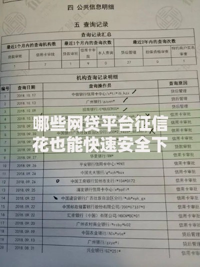 哪些网贷平台征信花也能快速安全下款解析