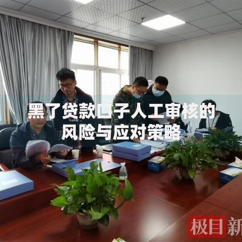 黑了贷款口子人工审核的风险与应对策略