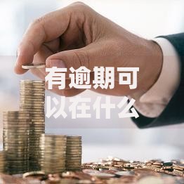 有逾期可以在什么平台借钱？正规渠道与申请攻略解析