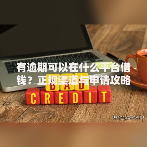 有逾期可以在什么平台借钱？正规渠道与申请攻略解析