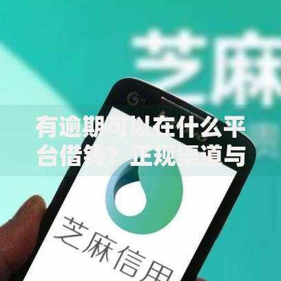 有逾期可以在什么平台借钱？正规渠道与申请攻略解析