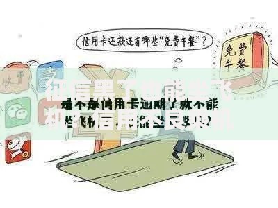 征信黑了也能坐飞机？信用不良乘机指南解析