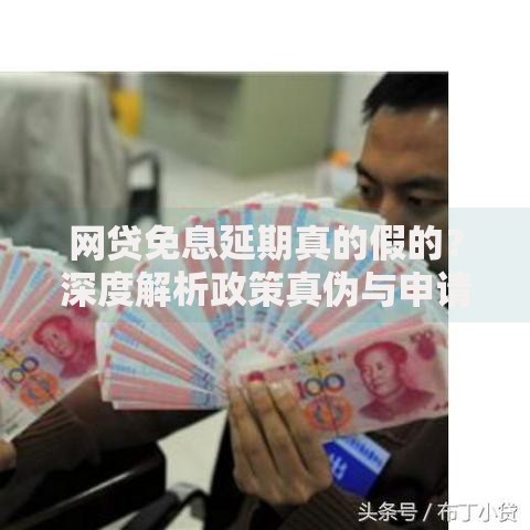 网贷免息延期真的假的？深度解析政策真伪与申请风险