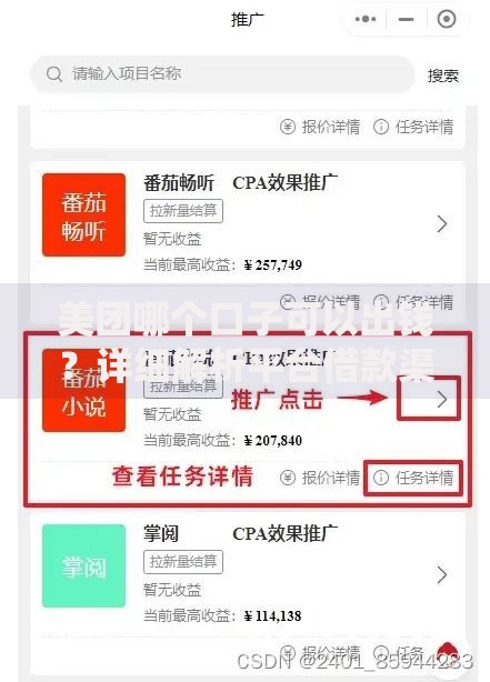 美团哪个口子可以出钱？详细解析平台借款渠道与技巧