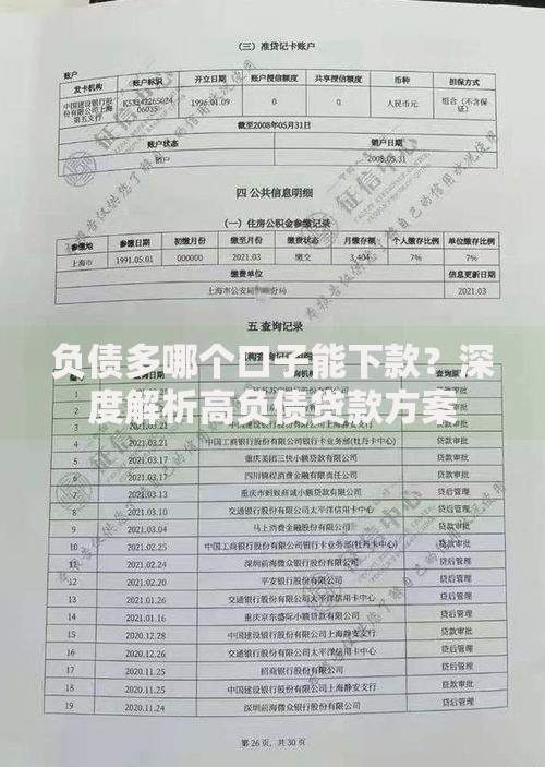 负债多哪个口子能下款？深度解析高负债贷款方案
