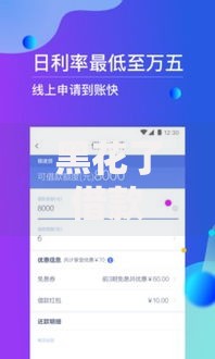 黑花了借款大额口子秒下：高额度快速到账的合规选择