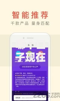 哪个口子现在最好下款？正规平台低息贷款推荐