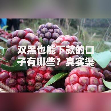 双黑也能下款的口子有哪些？真实渠道深度解析