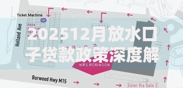 202512月放水口子贷款政策深度解析