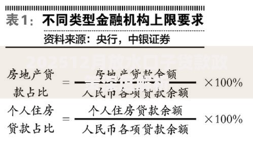 202512月放水口子贷款政策深度解析