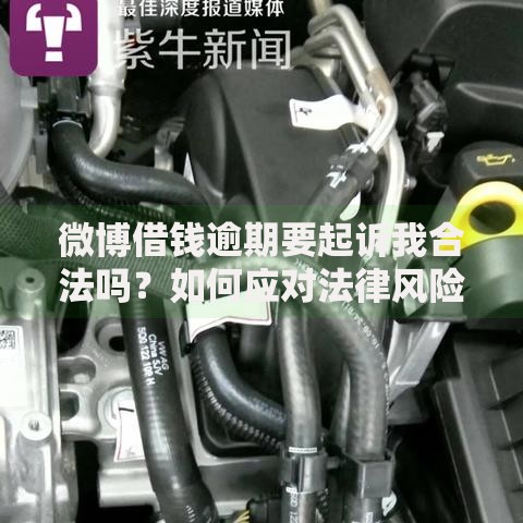 微博借钱逾期要起诉我合法吗？如何应对法律风险