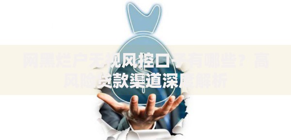 网黑烂户无视风控口子有哪些？高风险贷款渠道深度解析