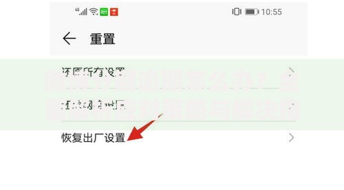 微博分期逾期怎么办？全面解析应对策略与解决指南