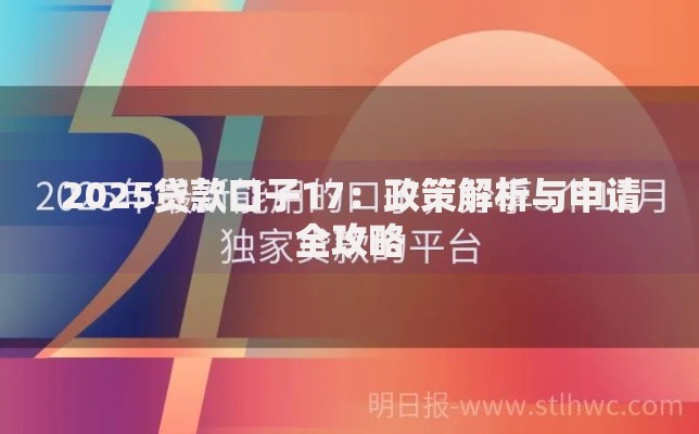 2025贷款口子17：政策解析与申请全攻略