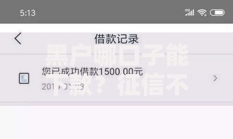 黑户哪口子能下款？征信不良贷款渠道深度解析